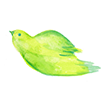 飛ぶ緑の鳥