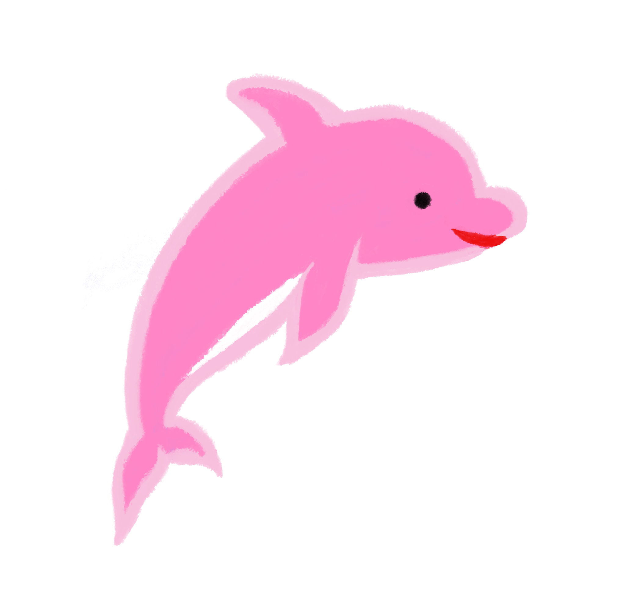 イルカ