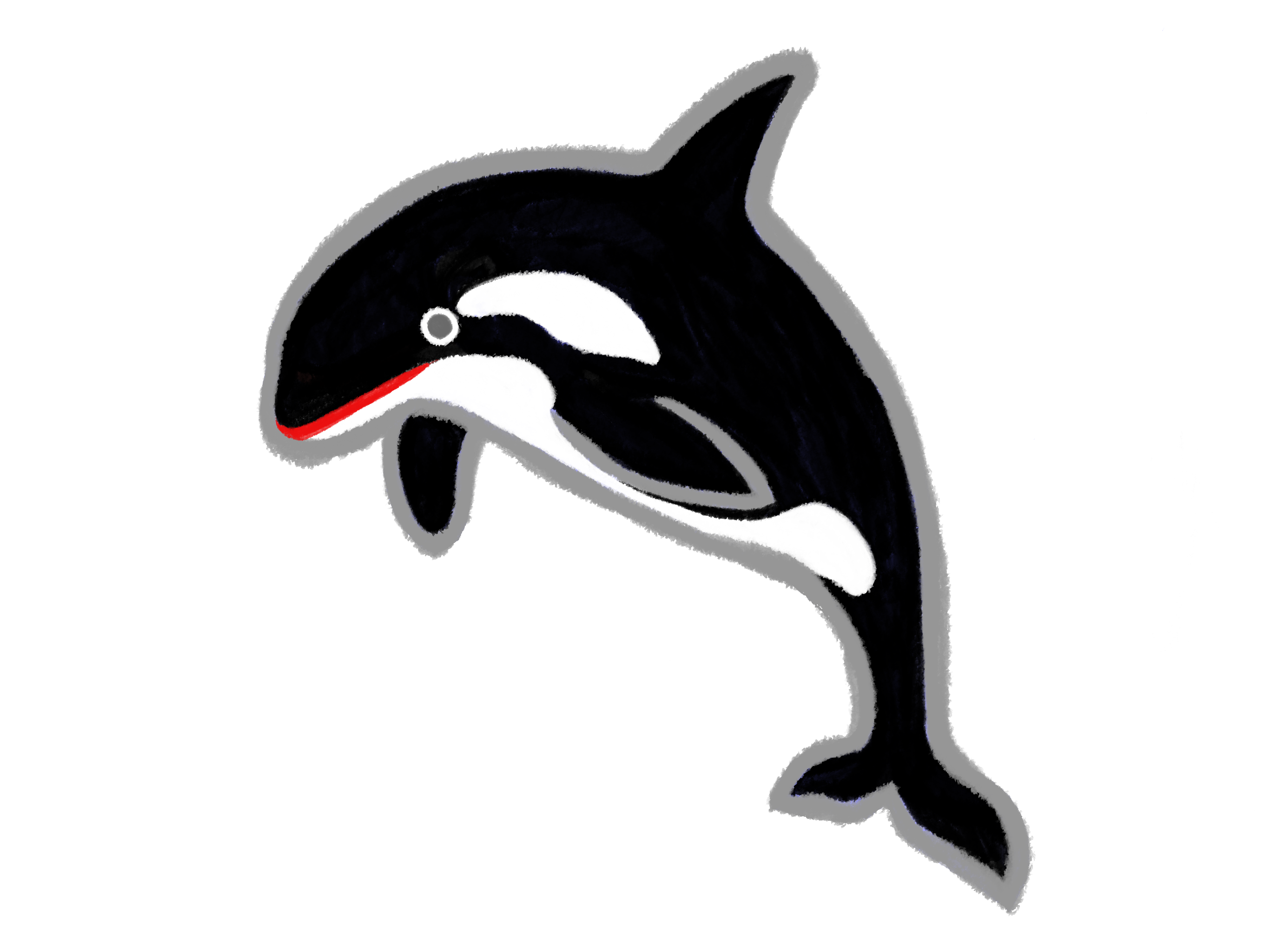 オルカ